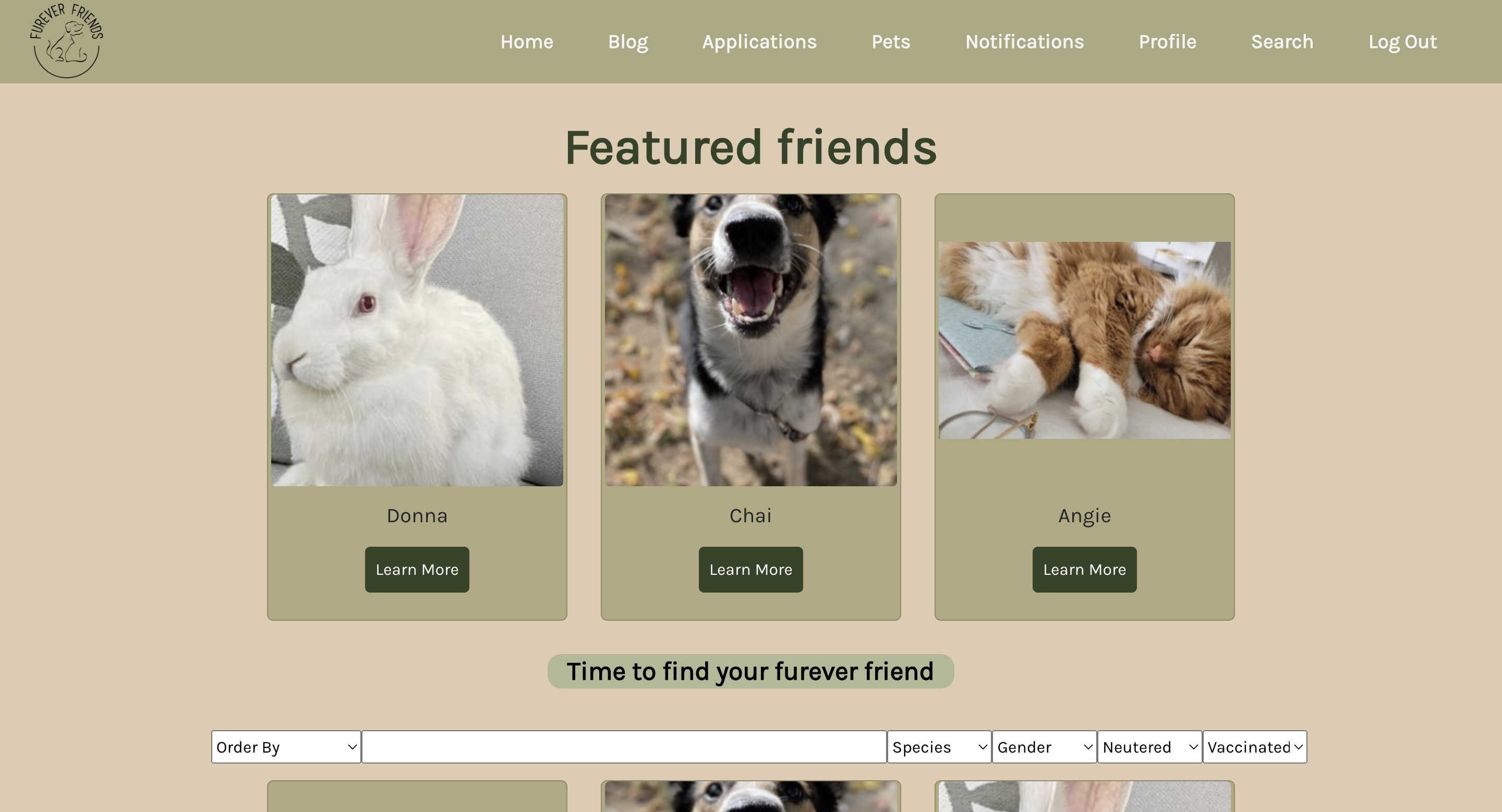 Featured pets on the search page