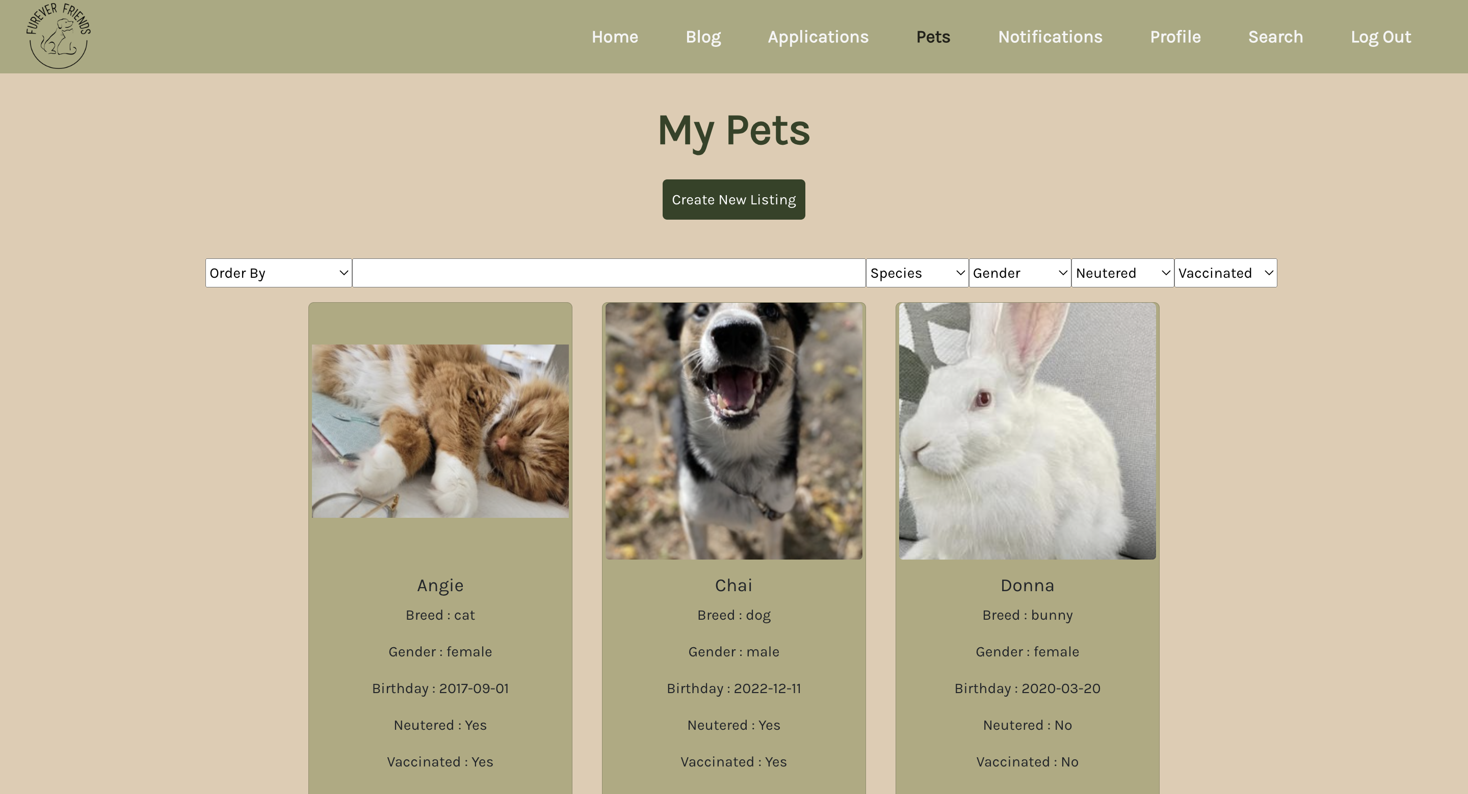 A shelter's listings